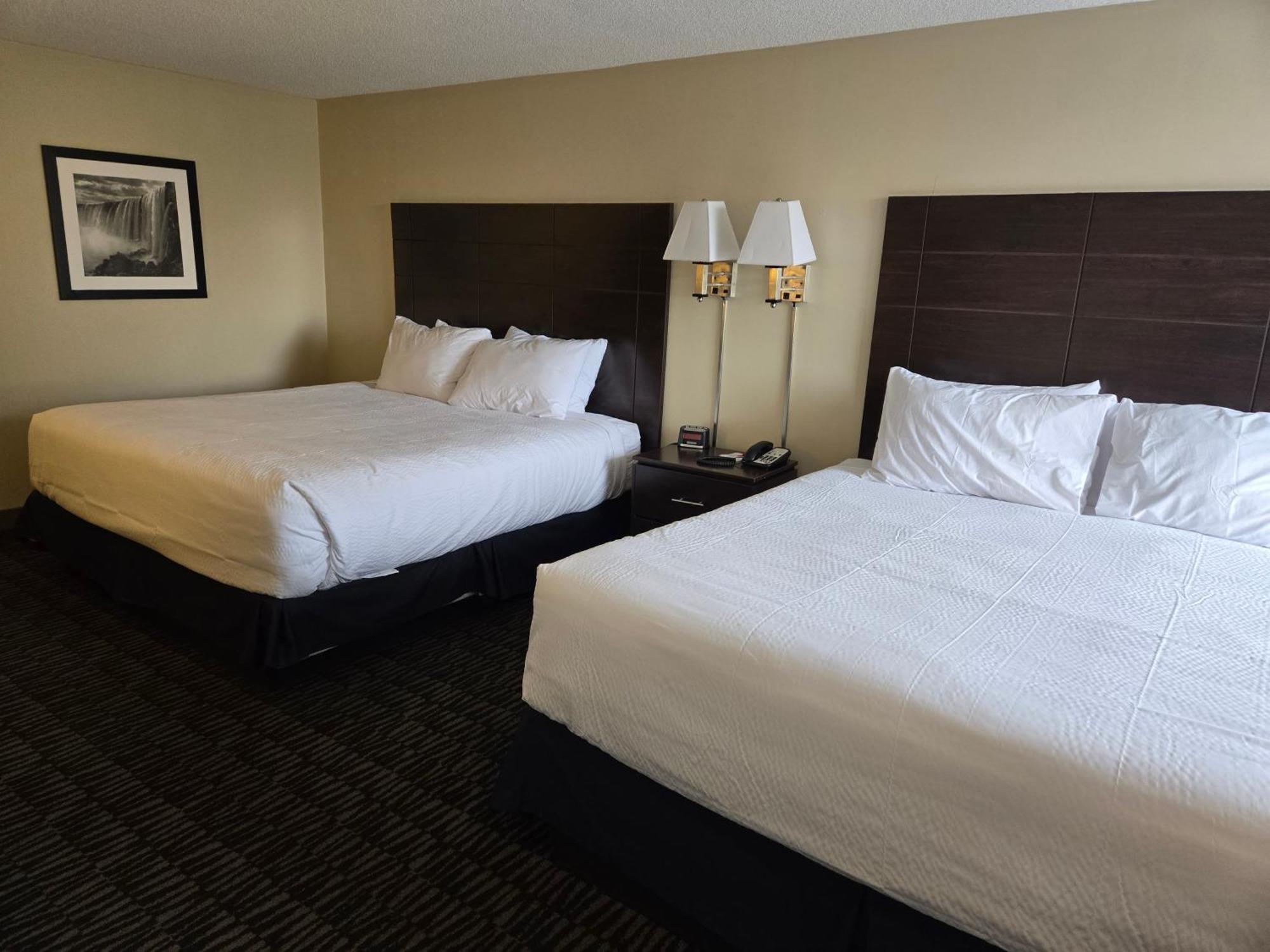 Ramada Plaza By Wyndham Niagara Falls Esterno foto