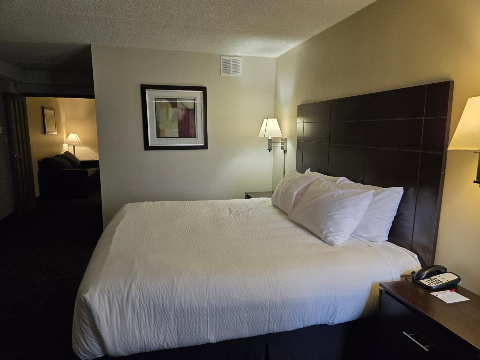 Ramada Plaza By Wyndham Niagara Falls Esterno foto